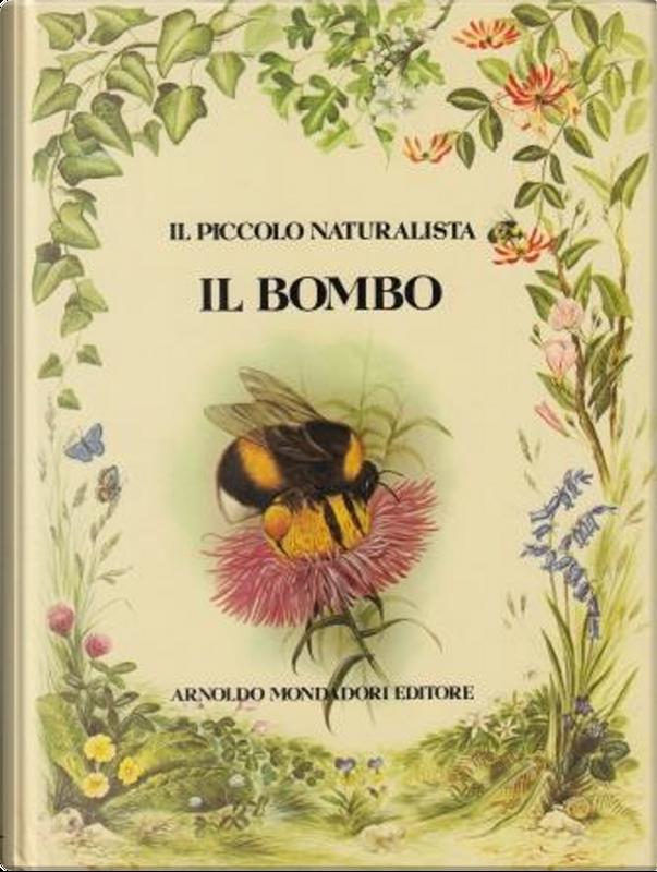 Copertina  Il bombo