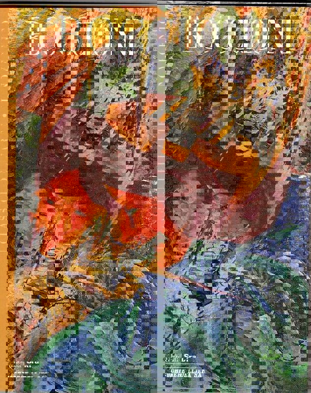 Copertina  i classici dell'arte: Boccioni