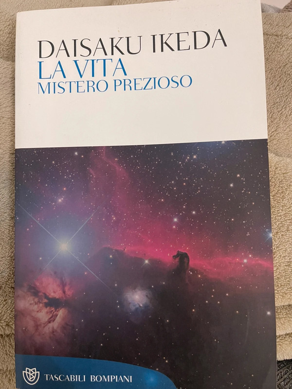 Copertina  La vita. Mistero prezioso