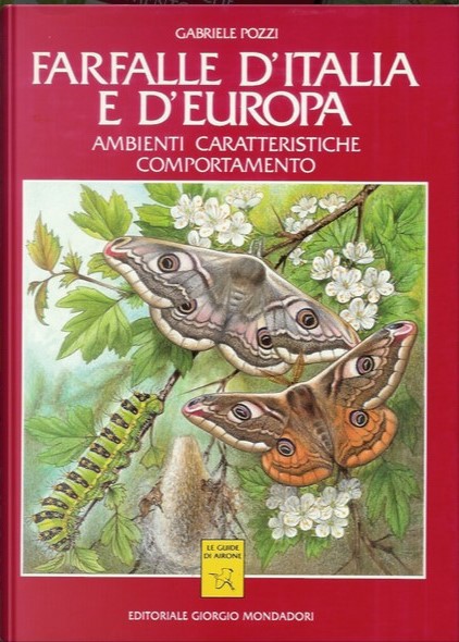 Copertina  Farfalle d'Italia e d'Europa : ambienti caratteristiche comportamento